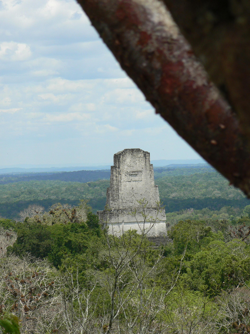 Tikal