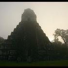 Tikal erwacht
