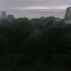 Tikal l'aurora ore 06.00 (Guatemala)