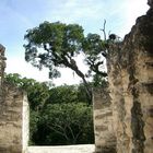 Tikal, ..view into the jungle...