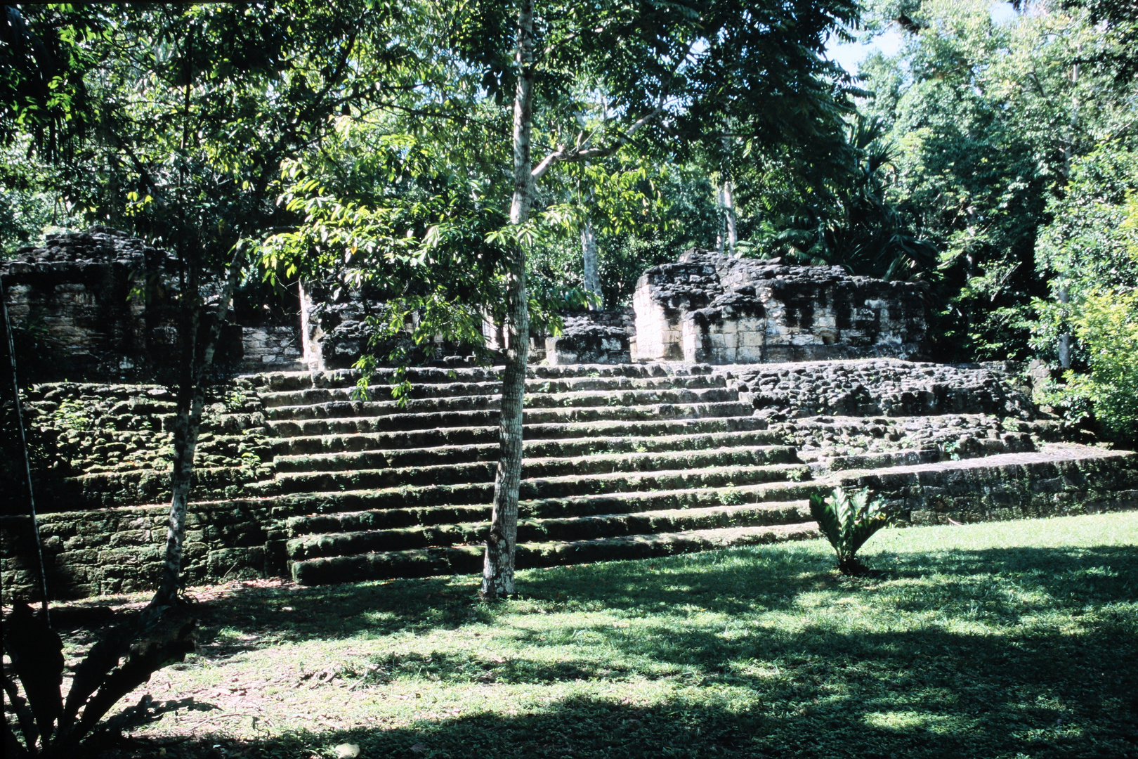 Tikal_7