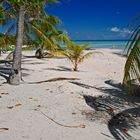 TIKEHAU ATOLL TAHITI