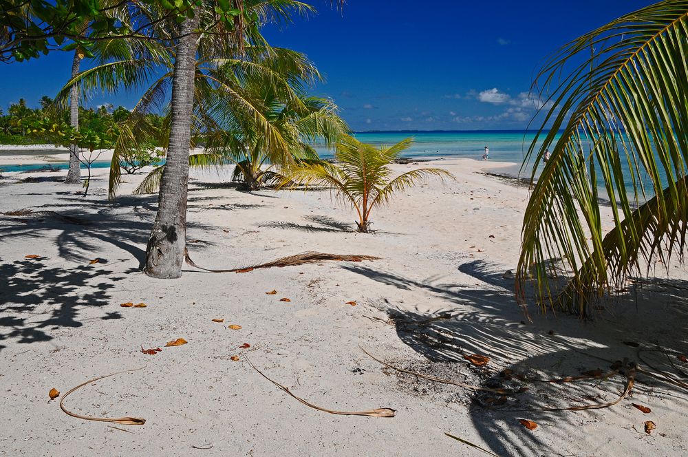 TIKEHAU ATOLL TAHITI