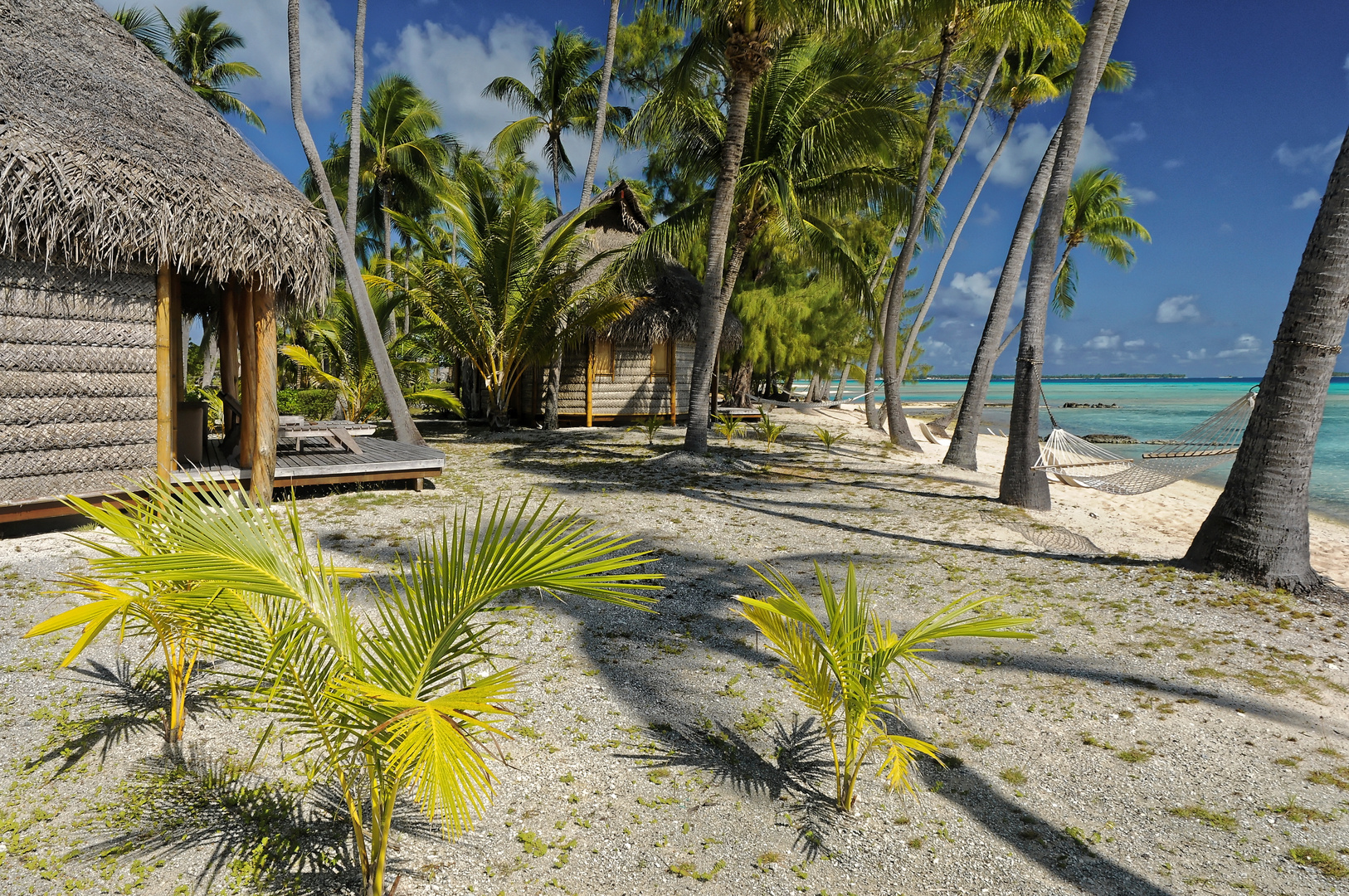 Tikehau Atoll Tuamotu Atoll Tahiti