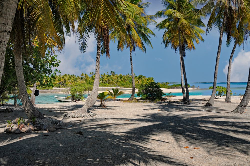 Tikehau  Tuamotu Atoll Ozeanien