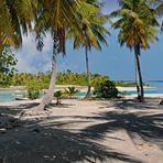 Tikehau  Tuamotu Atoll Ozeanien