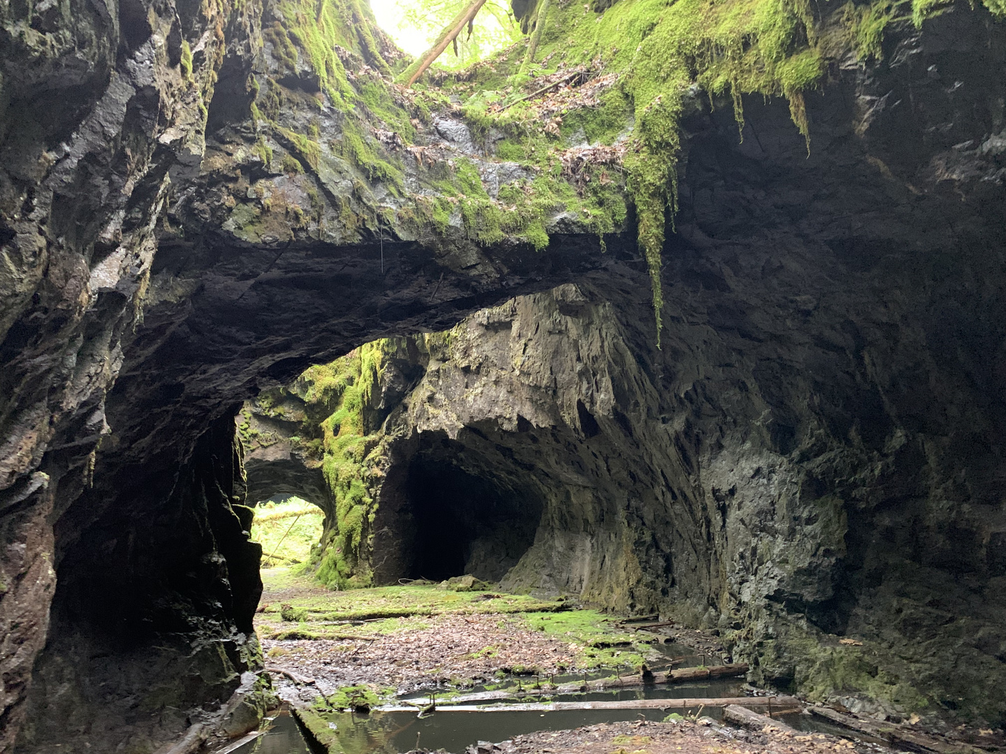 Tilas Stoll im Naturreservat Högsbergsfältet...