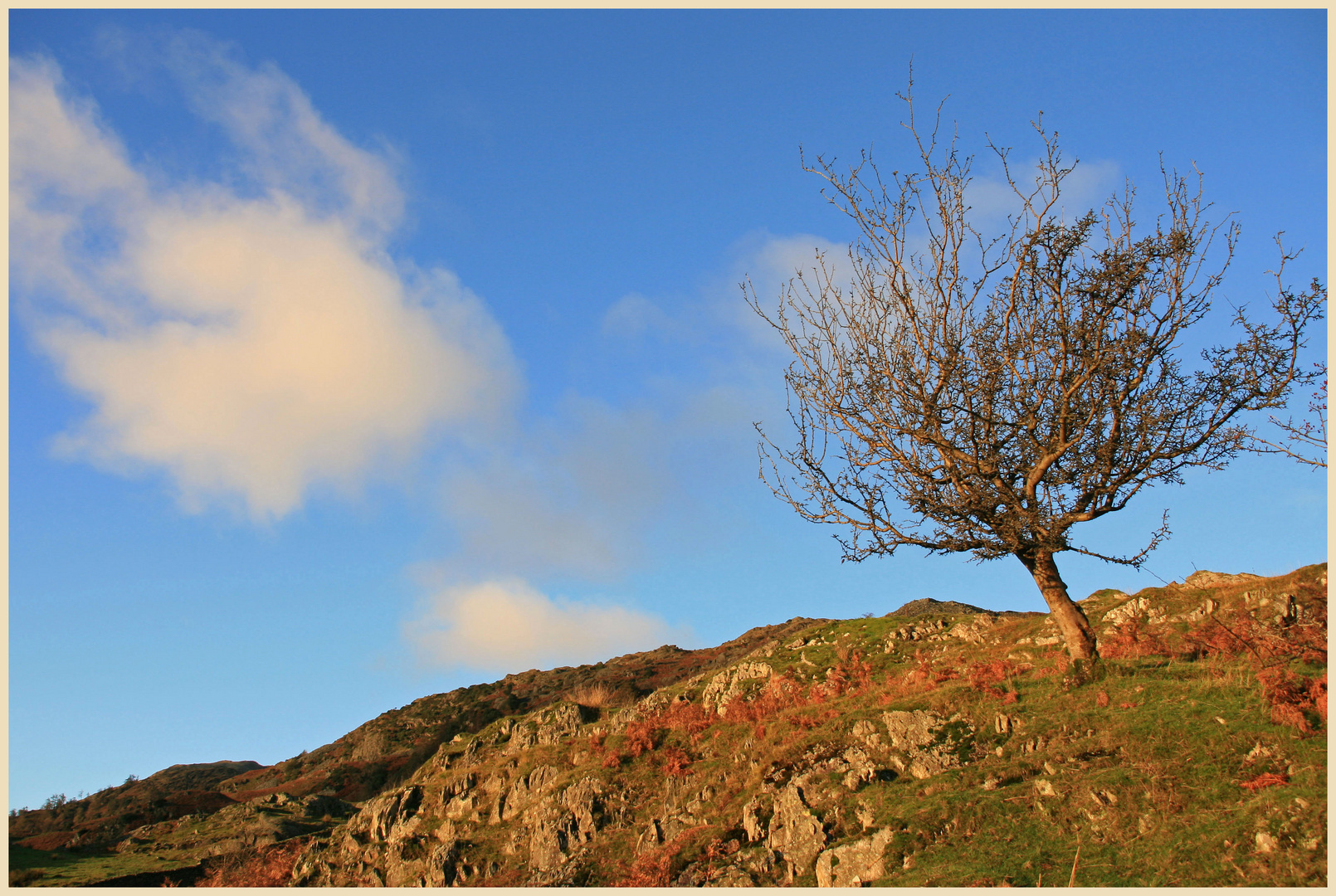 Tilberthwaite detail 31