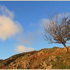 Tilberthwaite detail 31