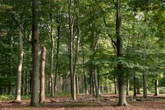 Tilburg - Oude Warande - 06