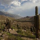 Tilcara, Jujuy - Argentina