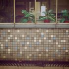 Tiles I