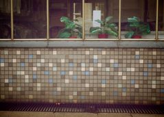 Tiles I