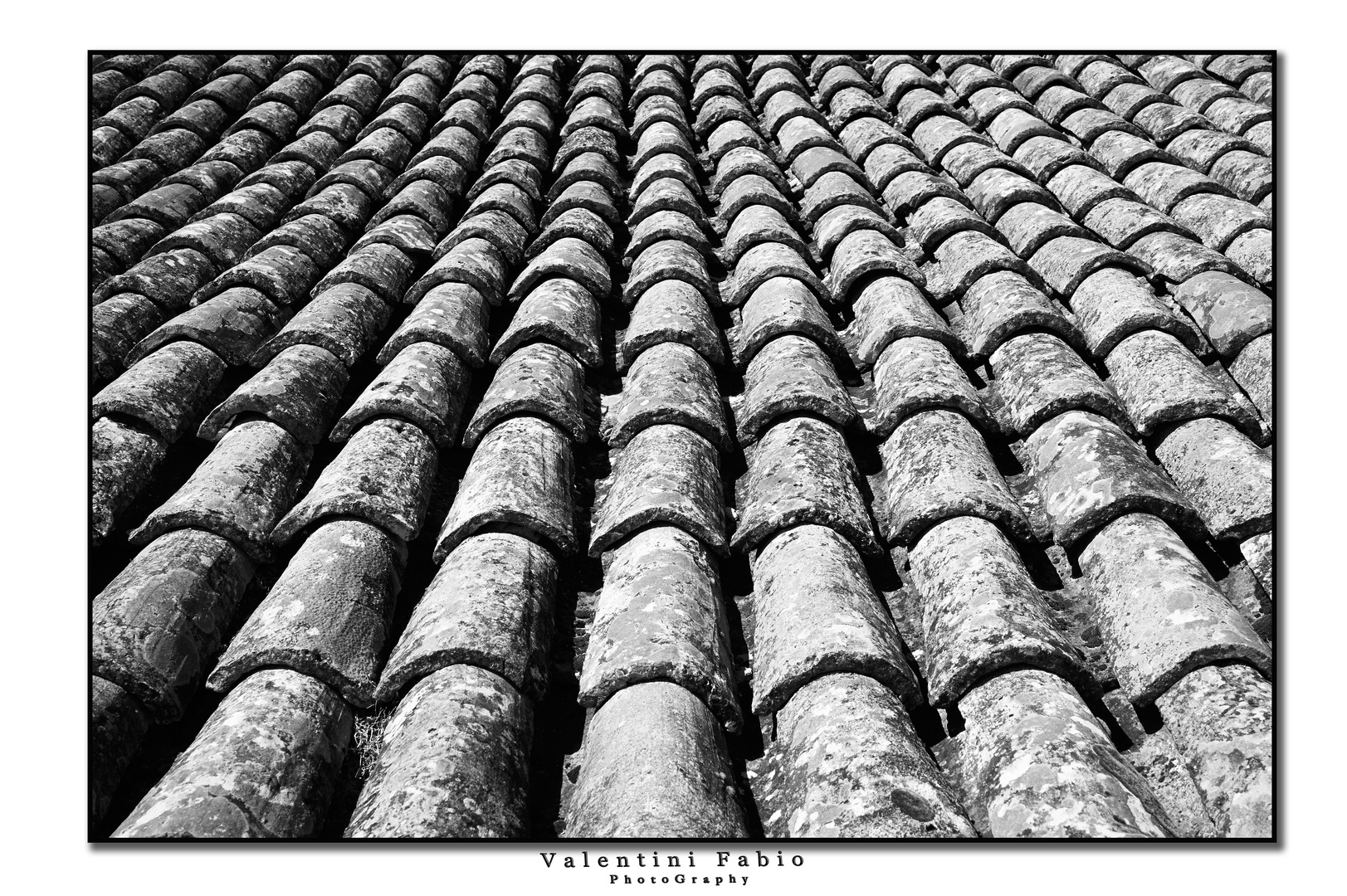 Tiles on the castle roof