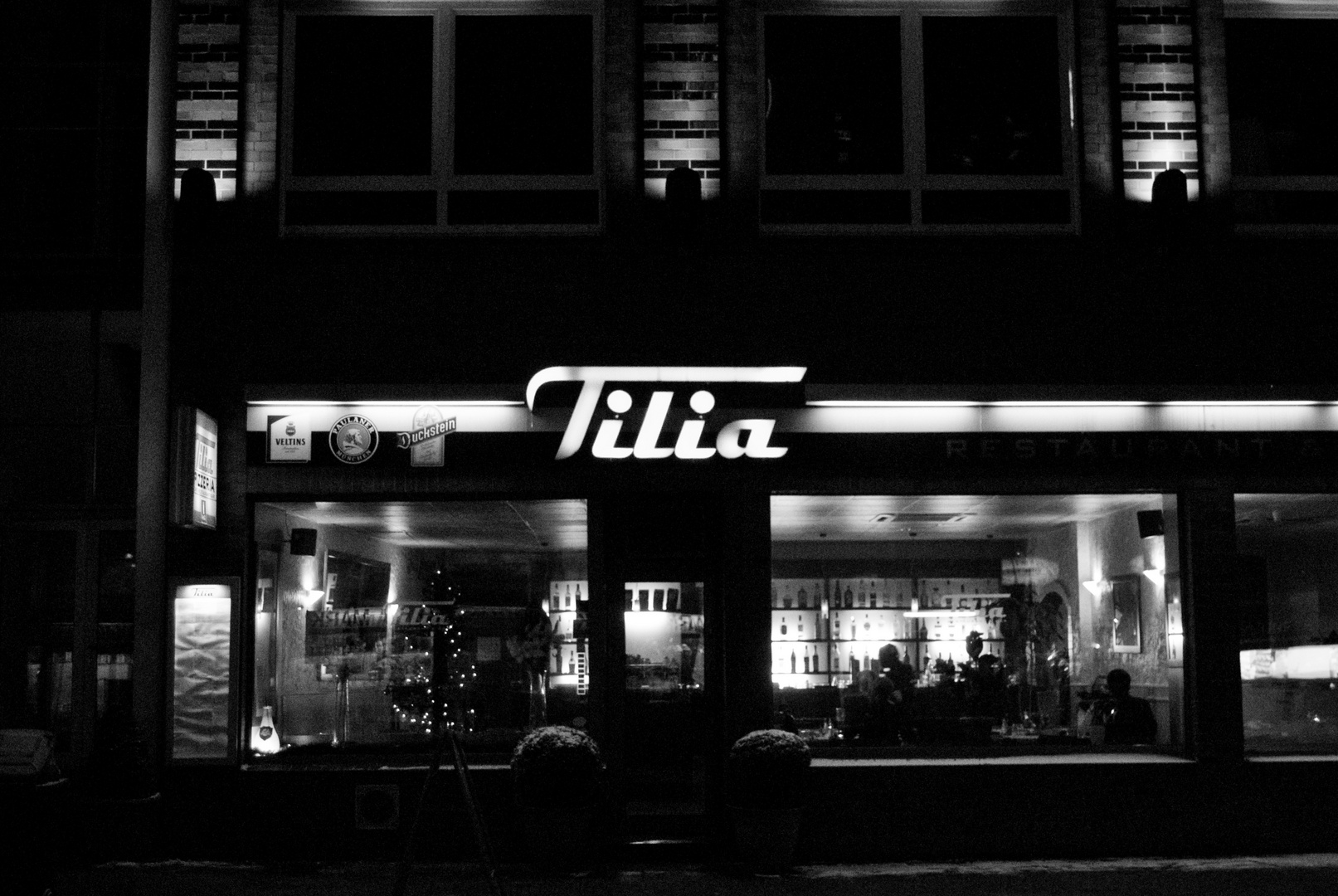 Tilia