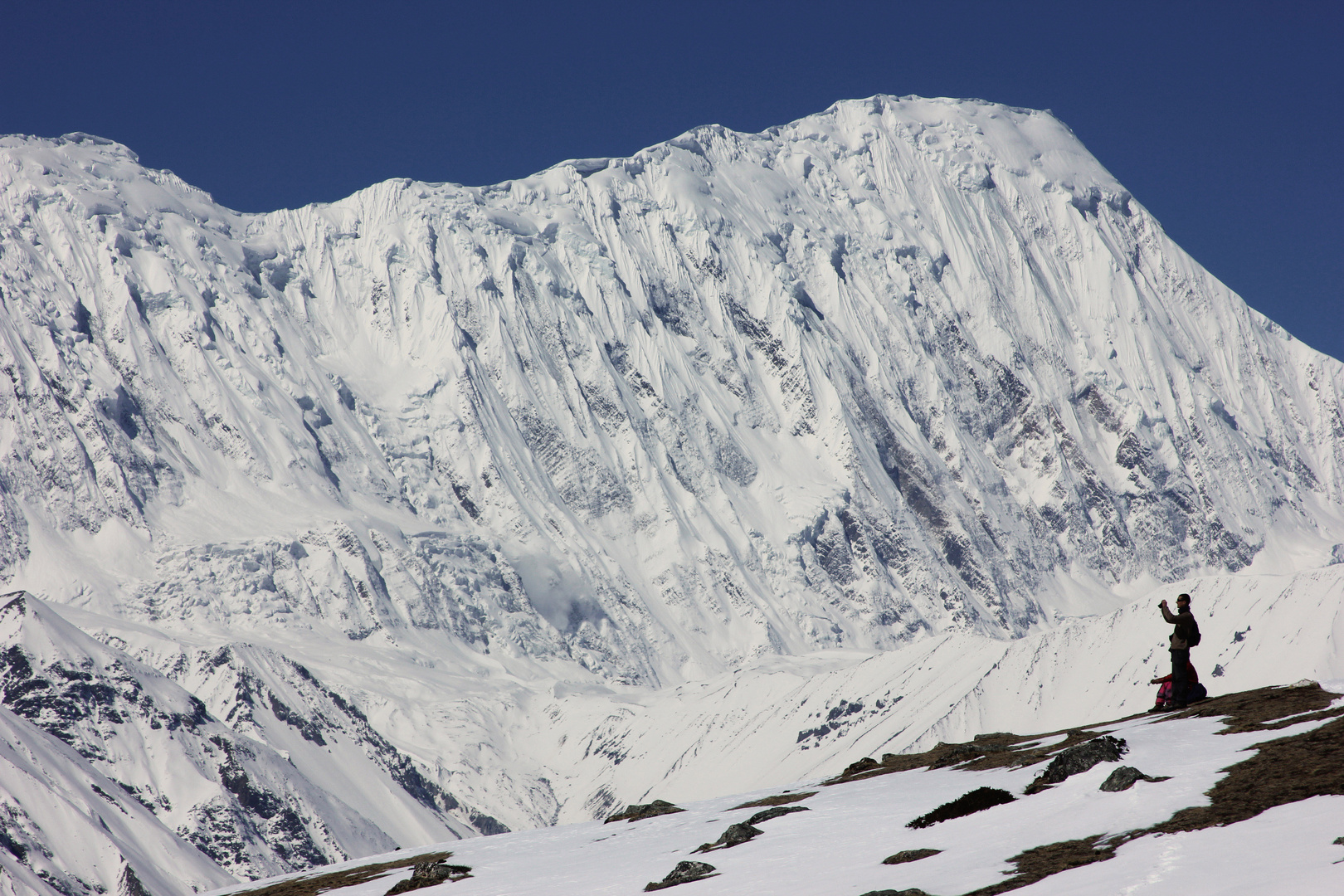 Tilicho Peak