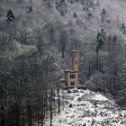 Tillyschanze im Rheinhardswald