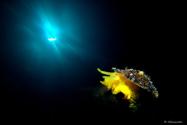 tilodina doppia esposizione