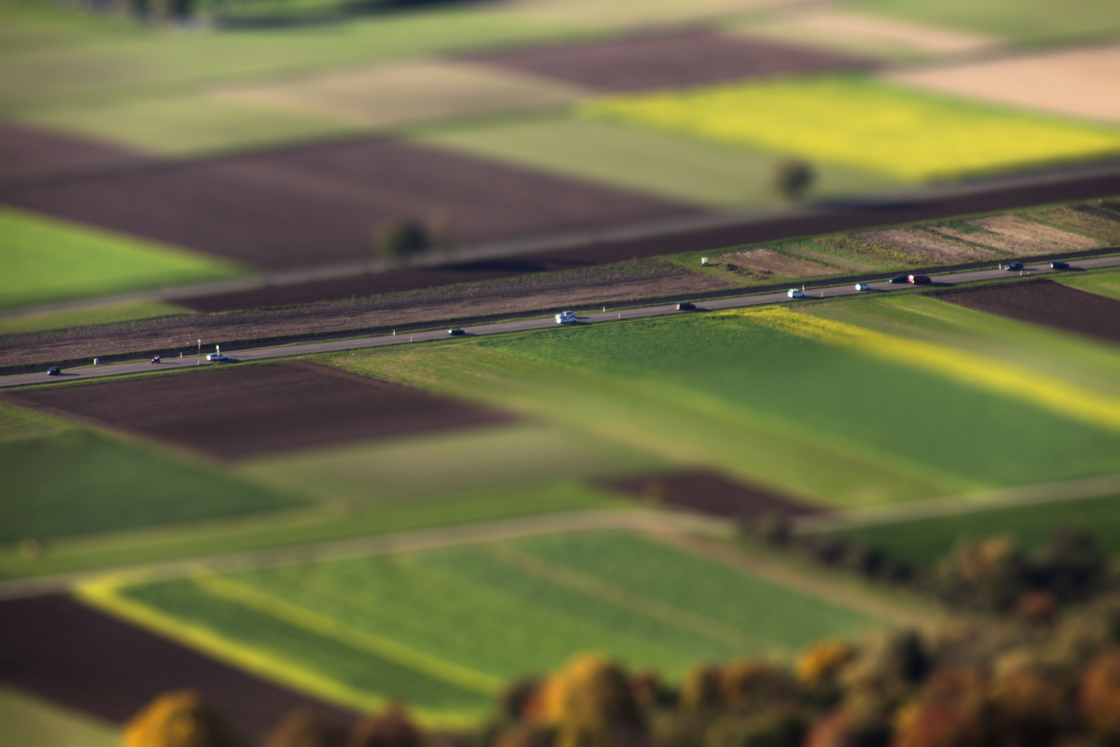 Tilt Shift