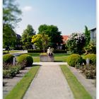 -Tilt Shift- Botanischer Garten Augsburg