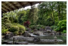 -Tilt Shift- Japanischer Garten Augsburg II