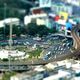 TILT SHIFT