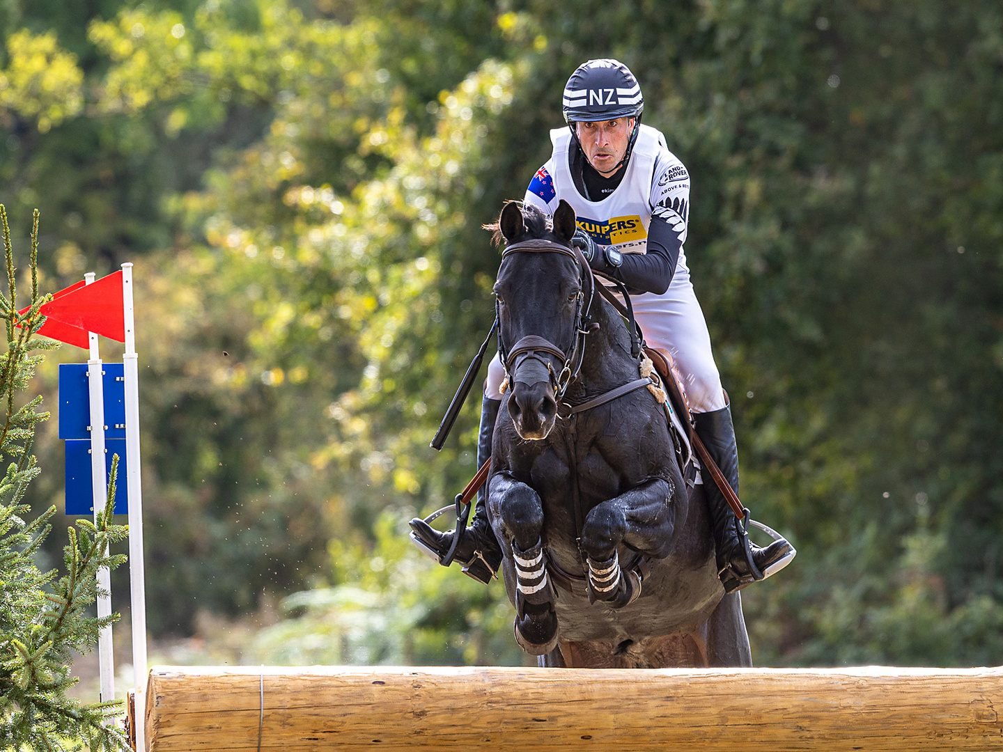 Tim Price (NZL) und Happy Boy...