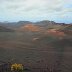 Timanfaya