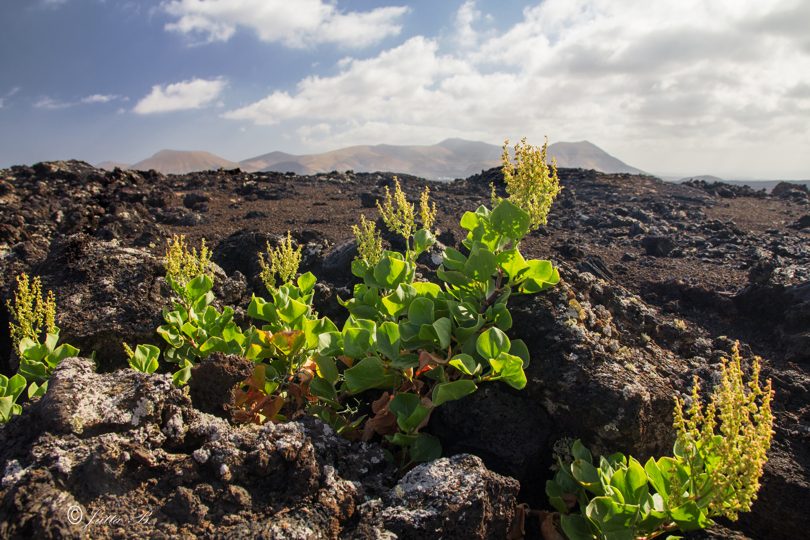 timanfaya