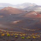 Timanfaya III