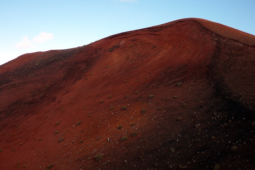 Timanfaya Nationalpark - Die Vegetation hat seit 1736 nicht wirklich zugenommen.