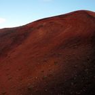 Timanfaya Nationalpark - Die Vegetation hat seit 1736 nicht wirklich zugenommen.