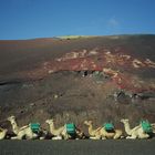 Timanfaya Nationalpark