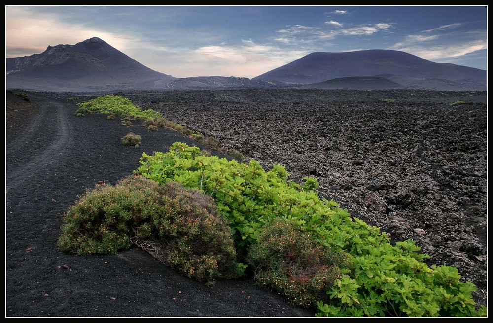 Timanfaya Naturpark (Lanzarote) 2