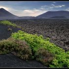 Timanfaya Naturpark (Lanzarote) 2