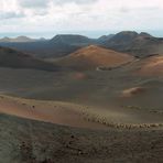 Timanfaya   -Panorama-