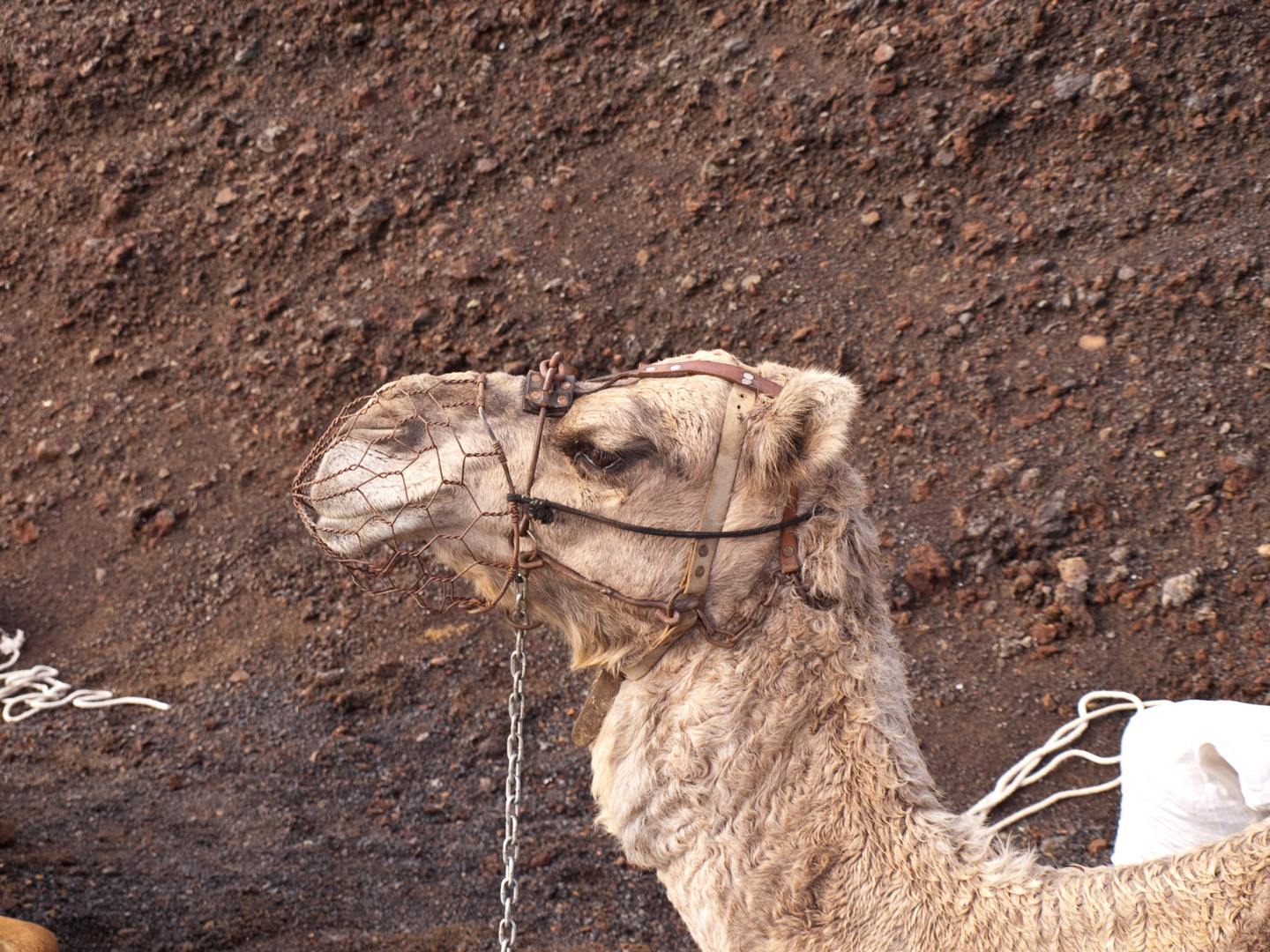 @ Timanfaya Parque Nacionál / Lanzarote