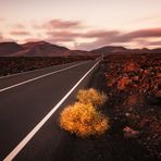 [timanfaya road...]