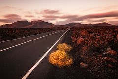 [timanfaya road...]