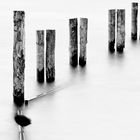 Timber Groynes I