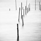 Timber Groynes II