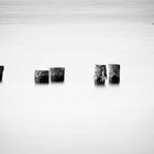 Timber Groynes III