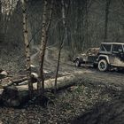 Timber Jeep