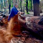 Timber Worker Lumberjack "01"