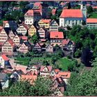 Timbered houses