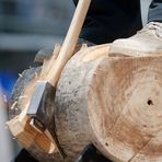 Timbersports I