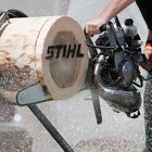 Timbersports III