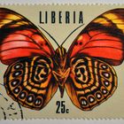 Timbre de la République du Libéria. (Pays de l'ouest de l'Afrique) Papillon.