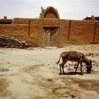 Timbuktu (41) --- Mali - Menschen,Kultur und Landschaften (132)