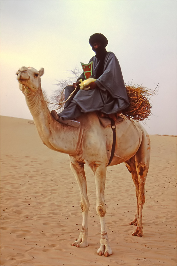 Timbuktu (65) --- Mali - Menschen,Kultur und Landschaften (156)